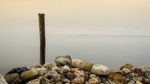 카카오톡 알림톡 자동화 시나...